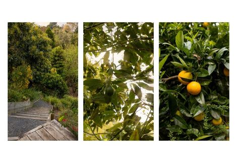 Photo of property in 24 Claremont Terrace, Otumoetai, Tauranga, 3110