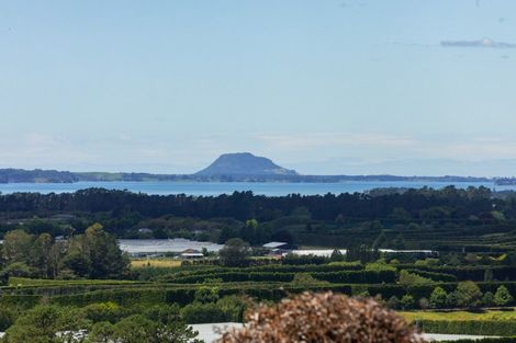 Photo of property in 265 Hot Springs Road, Tahawai, Katikati, 3178