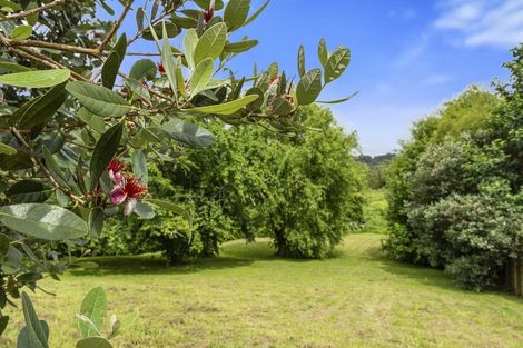 Photo of property in 7 Ward Street, Gate Pa, Tauranga, 3112