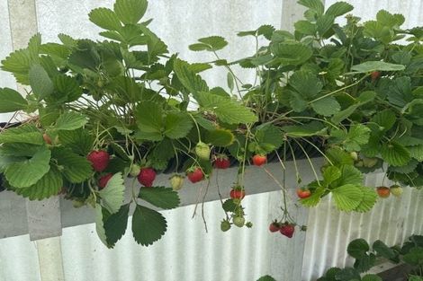 Photo of property in 132 Round Hill Road, Loburn, 7472