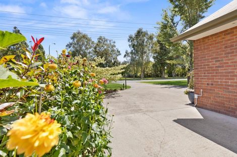 Photo of property in 120 Burwood Road, Matamata, 3400