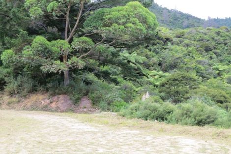 Photo of property in 1090 Driving Creek Road, Coromandel, 3583