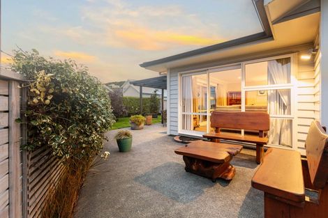 Photo of property in 65 John Burke Drive, Aotea, Porirua, 5024