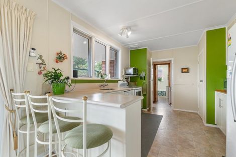 Photo of property in 40 Graham Street, Levin, 5510