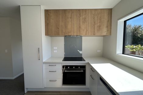 Photo of property in 45b Ryan Street, Phillipstown, Christchurch, 8011