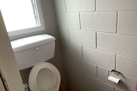 Photo of property in 12 Wellington Street, Hamilton East, Hamilton, 3216