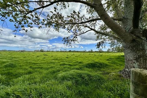 Photo of property in 365 Kumi Road, Awanui, 0486