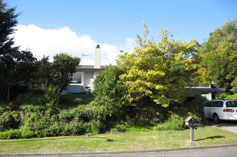 Photo of property in 14 Aotea Crescent, Havelock North, 4130