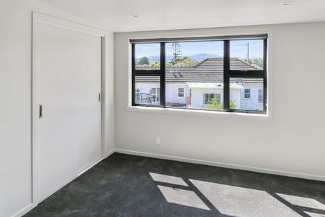 Photo of property in 6/489 Riverside Drive, Fairfield, Lower Hutt, 5011