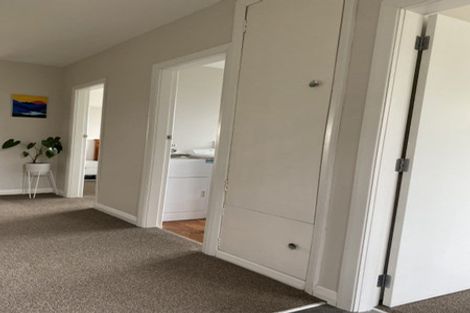 Photo of property in 162 The Ridgeway, Mornington, Wellington, 6021