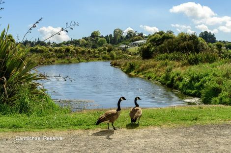 Photo of property in 57 Saint Pauls Drive, Brookfield, Tauranga, 3110