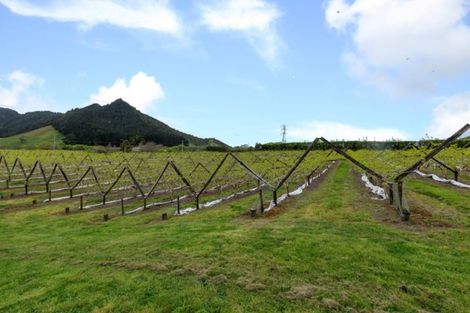 Photo of property in 811 Hakarimata Road, Huntly, 3771