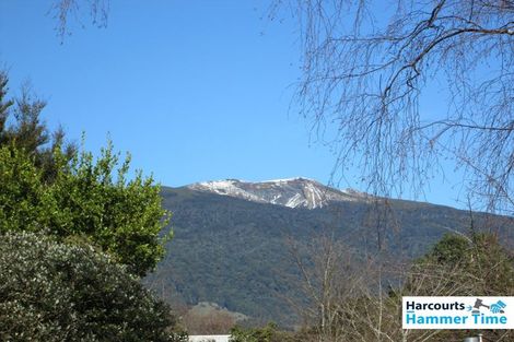 Photo of property in 82 Taupahi Road, Turangi, 3334