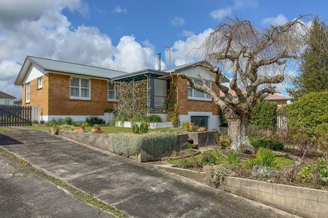Photo of property in 4 Kowhai Place, Putaruru, 3411