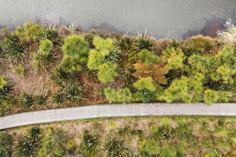 Photo of property in 79 Solomon Street, Brookfield, Tauranga, 3110