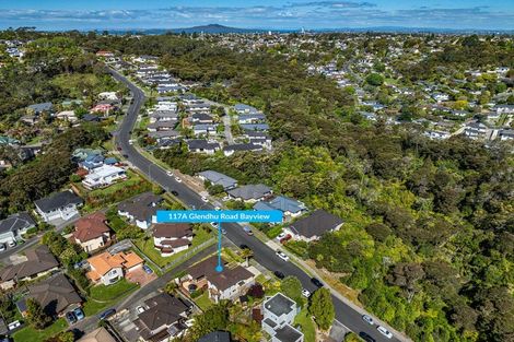 Photo of property in 117a Glendhu Road, Bayview, Auckland, 0629