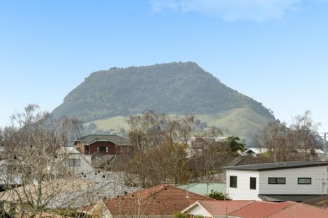 Photo of property in 53 Freyberg Street, Otumoetai, Tauranga, 3110