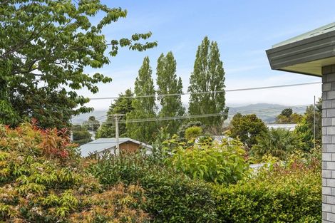 Photo of property in 87c Greerton Road, Gate Pa, Tauranga, 3112