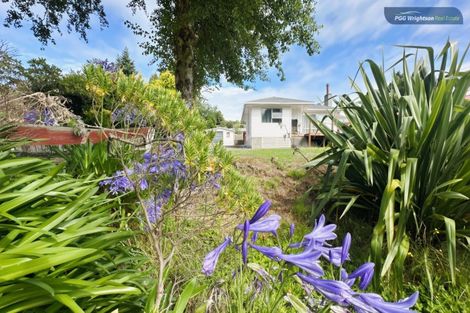 Photo of property in 169a Hautapu Street, Taihape, 4720