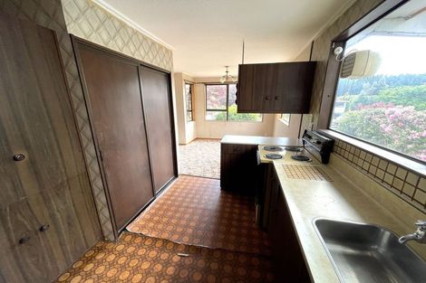 Photo of property in 17 Halsey Street, Clinton, 9534