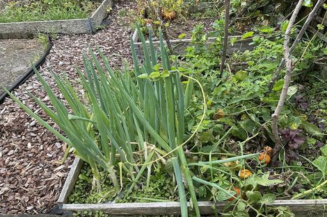 Photo of property in 74 Cambridge Terrace, Waterloo, Lower Hutt, 5011