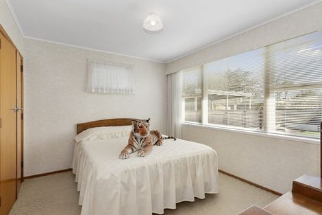 Photo of property in 88 Masters Avenue, Hillcrest, Hamilton, 3216