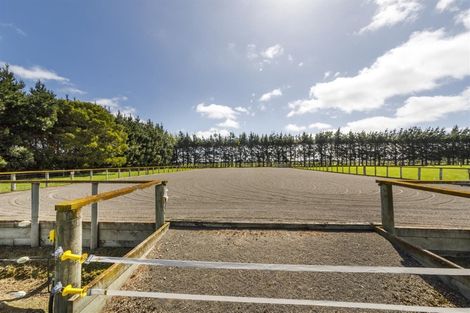 Photo of property in 481 Taonui Road, Colyton, Feilding, 4775