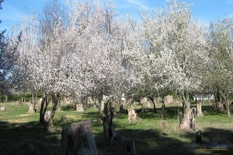 Photo of property in 721 Mclaughlins Road, Darfield, 7571