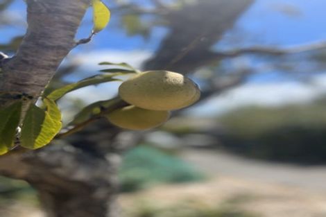 Photo of property in 94 Hibiscus Coast Highway, Red Beach, 0932