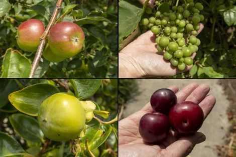 Photo of property in 12 First Avenue, Avenues, Whangarei, 0110