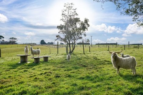 Photo of property in 98 Mcintosh Road, Otautau, 9683