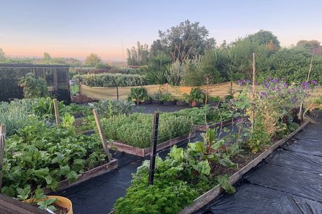 Photo of property in 70 Parore Street, Parore, Dargaville, 0372