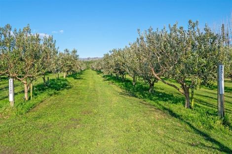 Photo of property in 280 Tyntesfield Road, Waihopai Valley, Blenheim, 7276