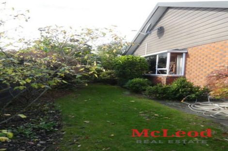 Photo of property in 19 Wilkin Street, Tinwald, Ashburton, 7700