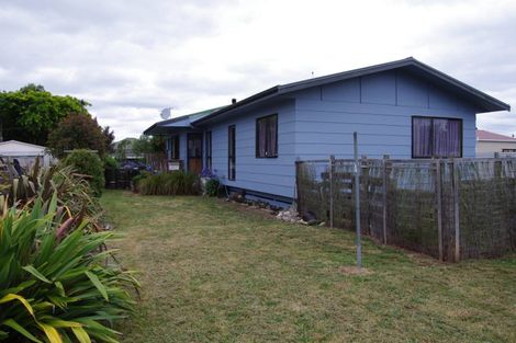 Photo of property in 29 Charles Street, Takapau, 4203