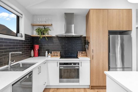 Photo of property in 20 Mount Nicholas Avenue, Wanaka, 9305