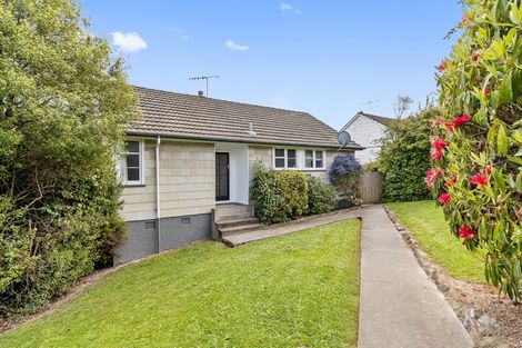 Photo of property in 170 Selwyn Street, Marchwiel, Timaru, 7910