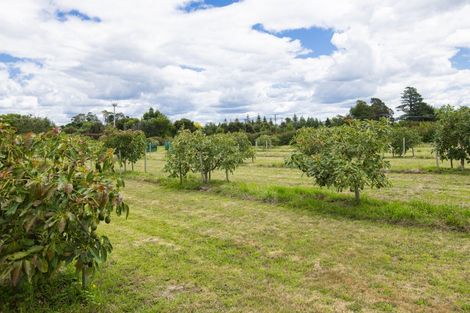 Photo of property in 547 Nelson Road, Lytton West, Gisborne, 4071