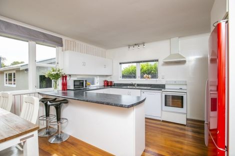 Photo of property in 14 Fergusson Street, Solway, Masterton, 5810
