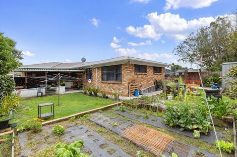 Photo of property in 14 Holloway Place, Forest Lake, Hamilton, 3200