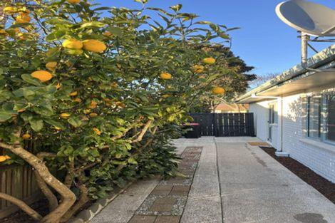 Photo of property in 17 Lavender Place, Papamoa Beach, Papamoa, 3118