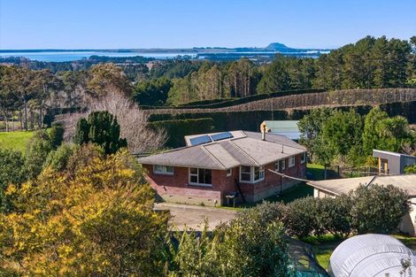 Photo of property in 319 Busby Road, Tahawai, Katikati, 3170