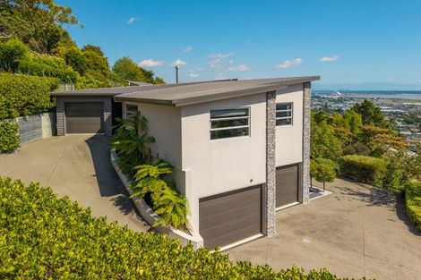 Photo of property in 20 Valhalla Drive, Richmond, 7020