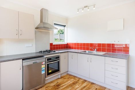 Photo of property in 102 Limbrick Street, Terrace End, Palmerston North, 4410