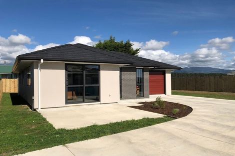 Photo of property in 79a Hinemoa Street, Levin, 5510