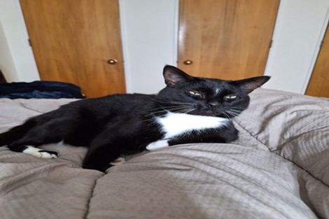 Photo of property in 57a David Crescent, Karori, Wellington, 6012