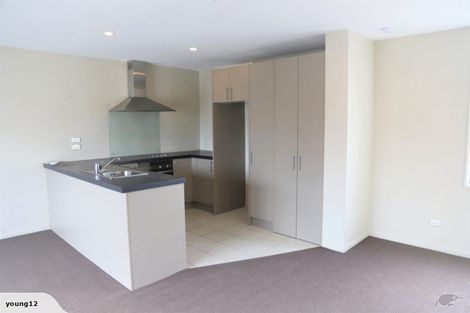 Photo of property in 10b Warwick Street, Richmond, Christchurch, 8013