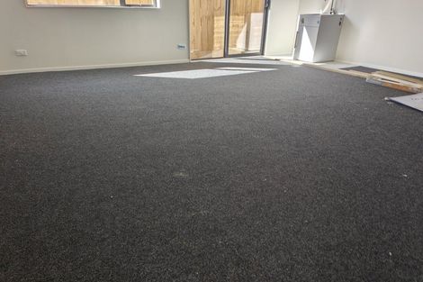 Photo of property in 46a Oakdale Road, Mount Roskill, Auckland, 1041