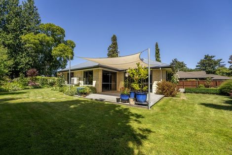 Photo of property in 55a Cox Street, Geraldine, 7930