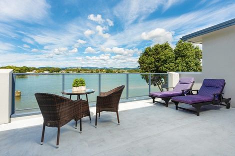 Photo of property in 53 Scantlebury Street, Tauranga South, Tauranga, 3112